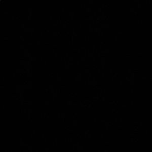 Meet your Posher, Joey